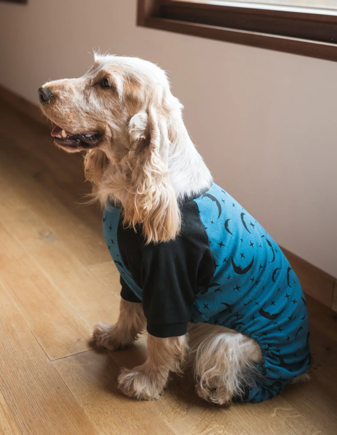 Dog Print Pajamas - Image 4