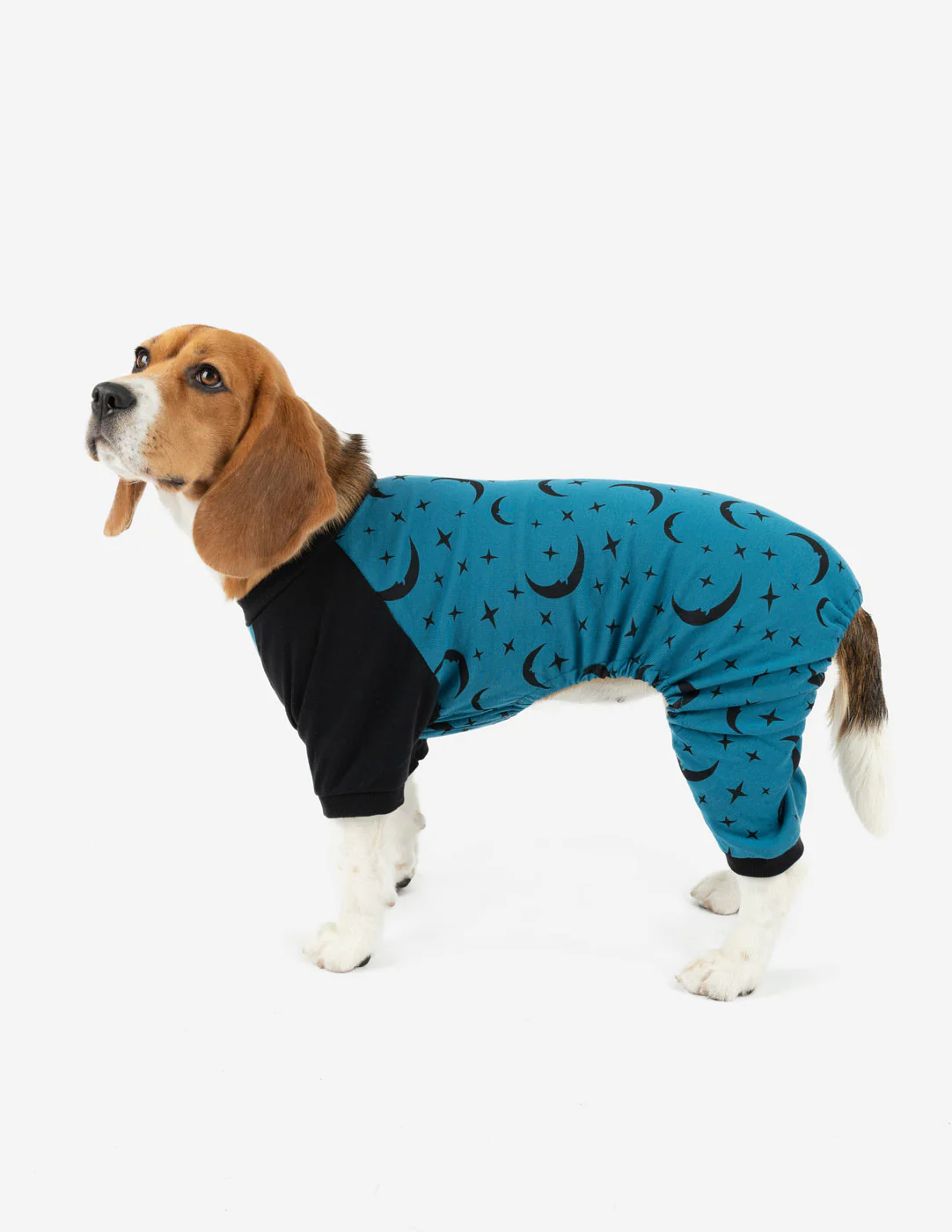 Dog Print Pajamas - Image 5