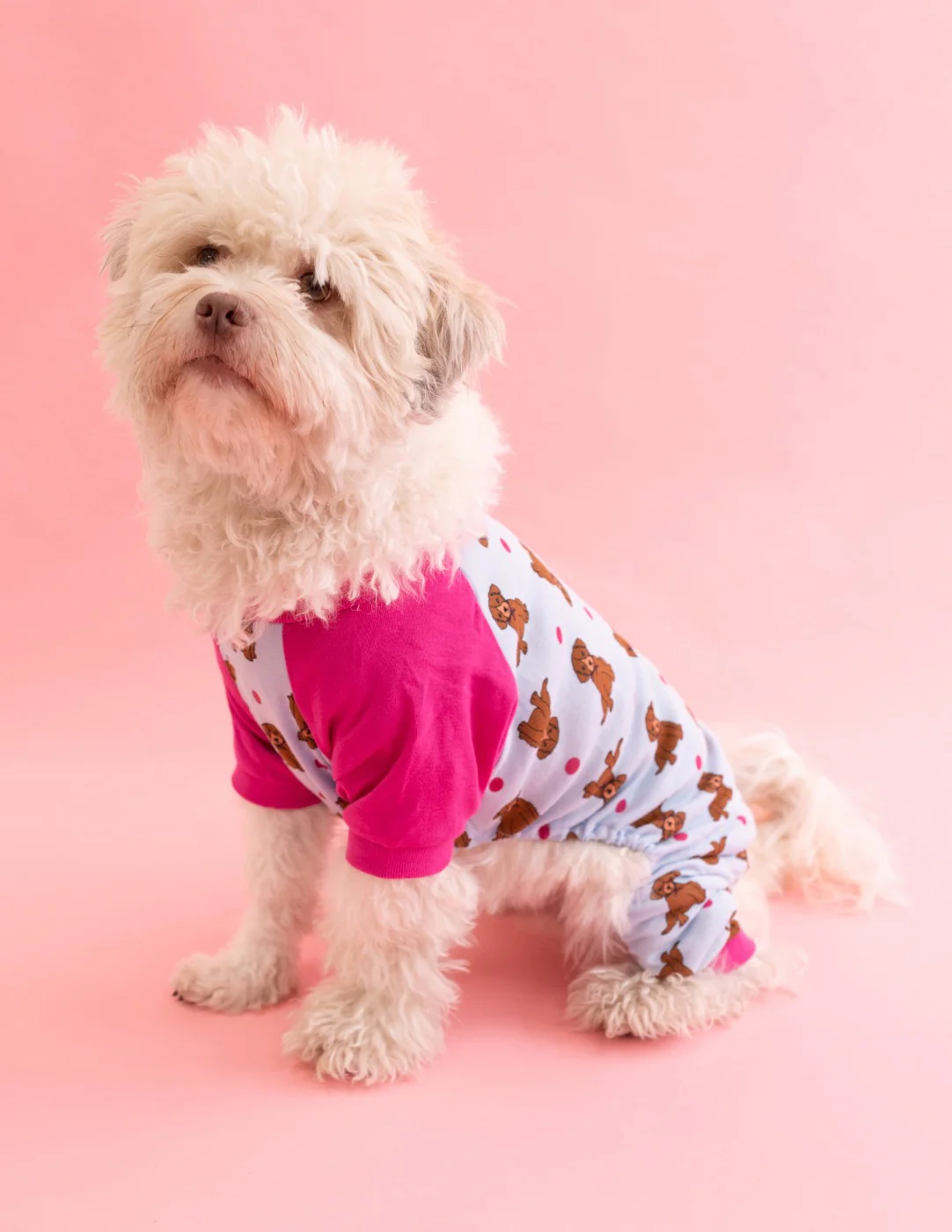 Dog Print Pajamas - Image 6