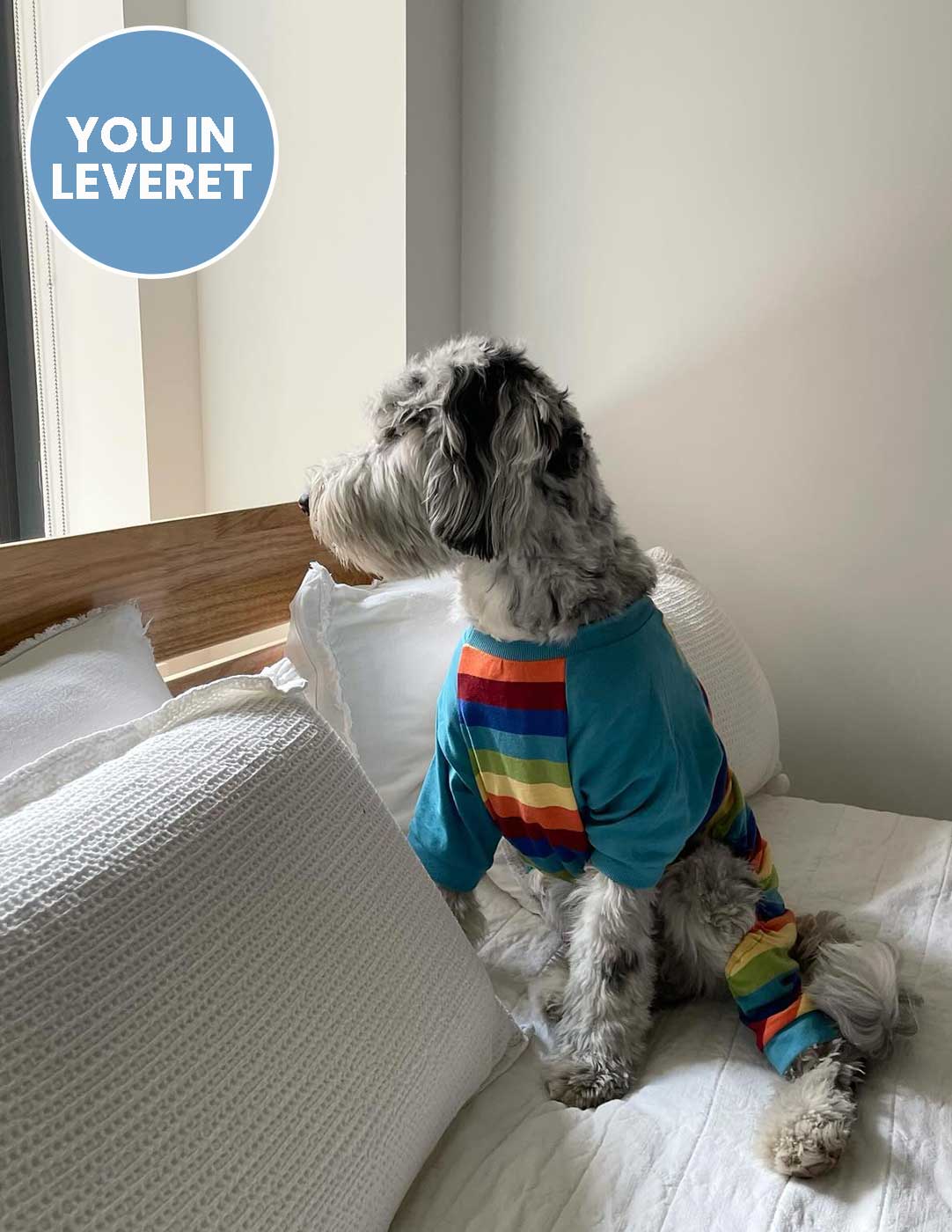Dog Stripes Pajamas - Image 10