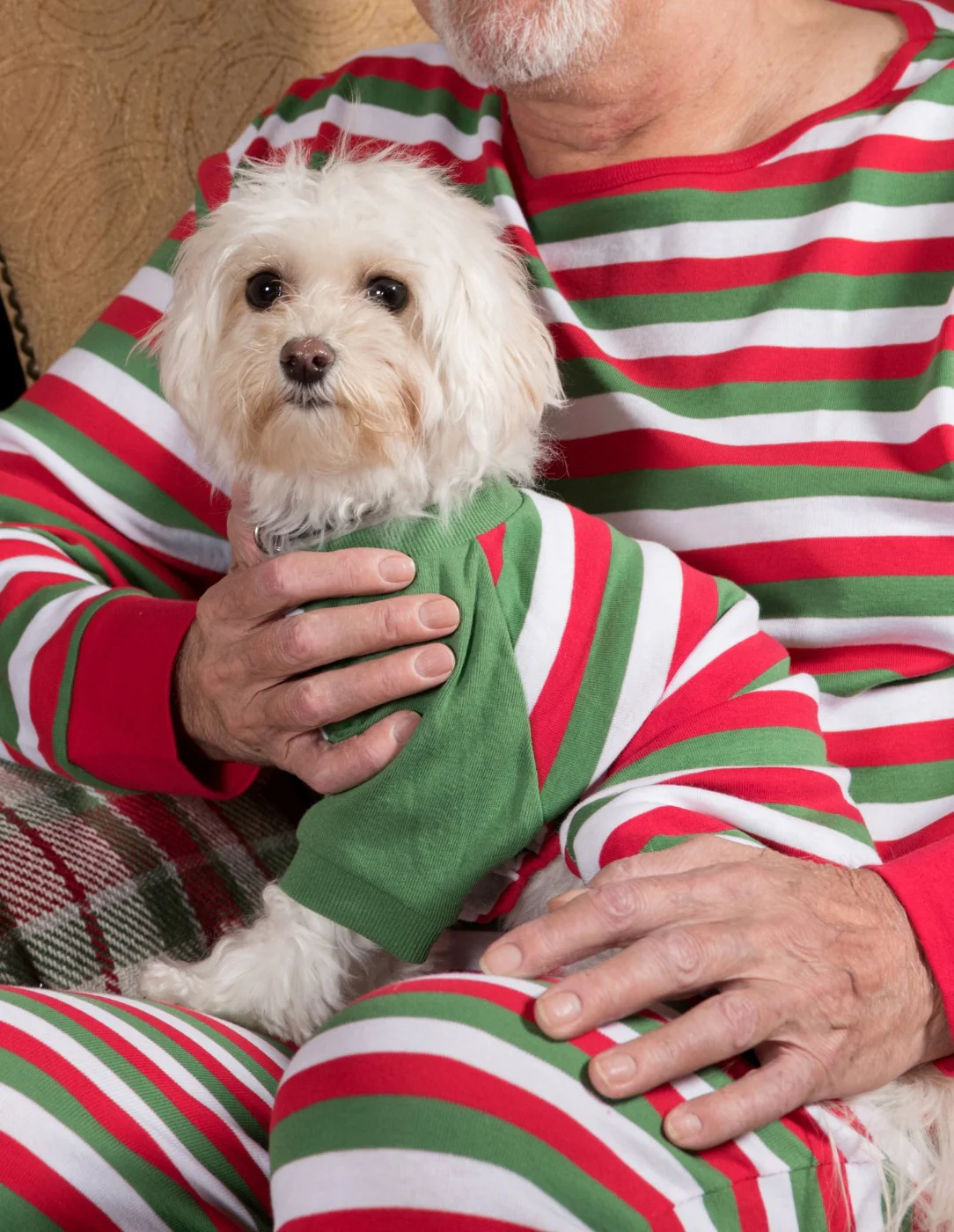 Dog Stripes Pajamas - Image 13