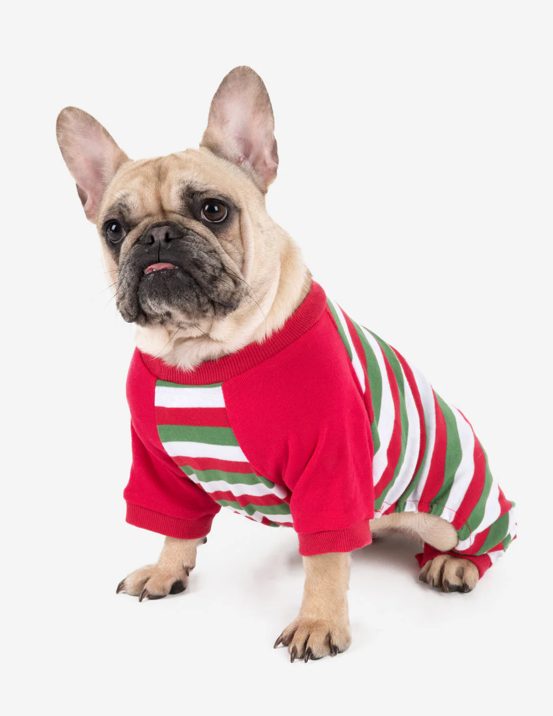 Dog Stripes Pajamas - Image 14