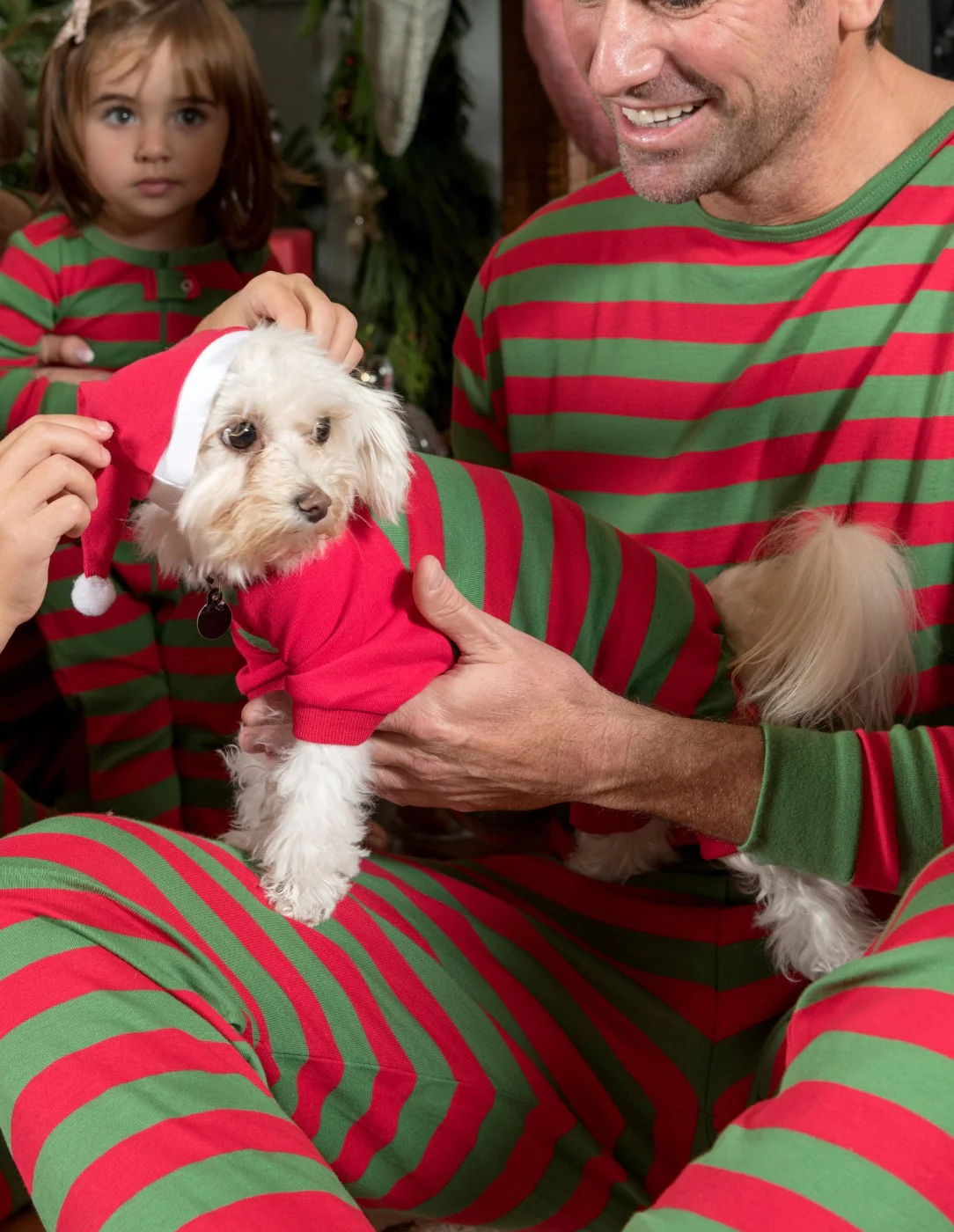 Dog Stripes Pajamas - Image 15