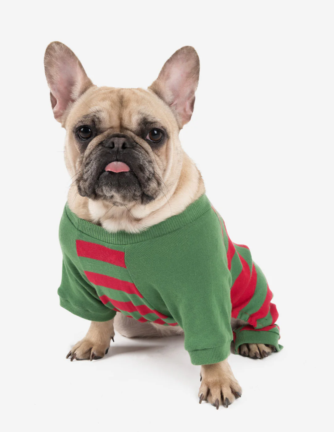 Dog Stripes Pajamas - Image 16