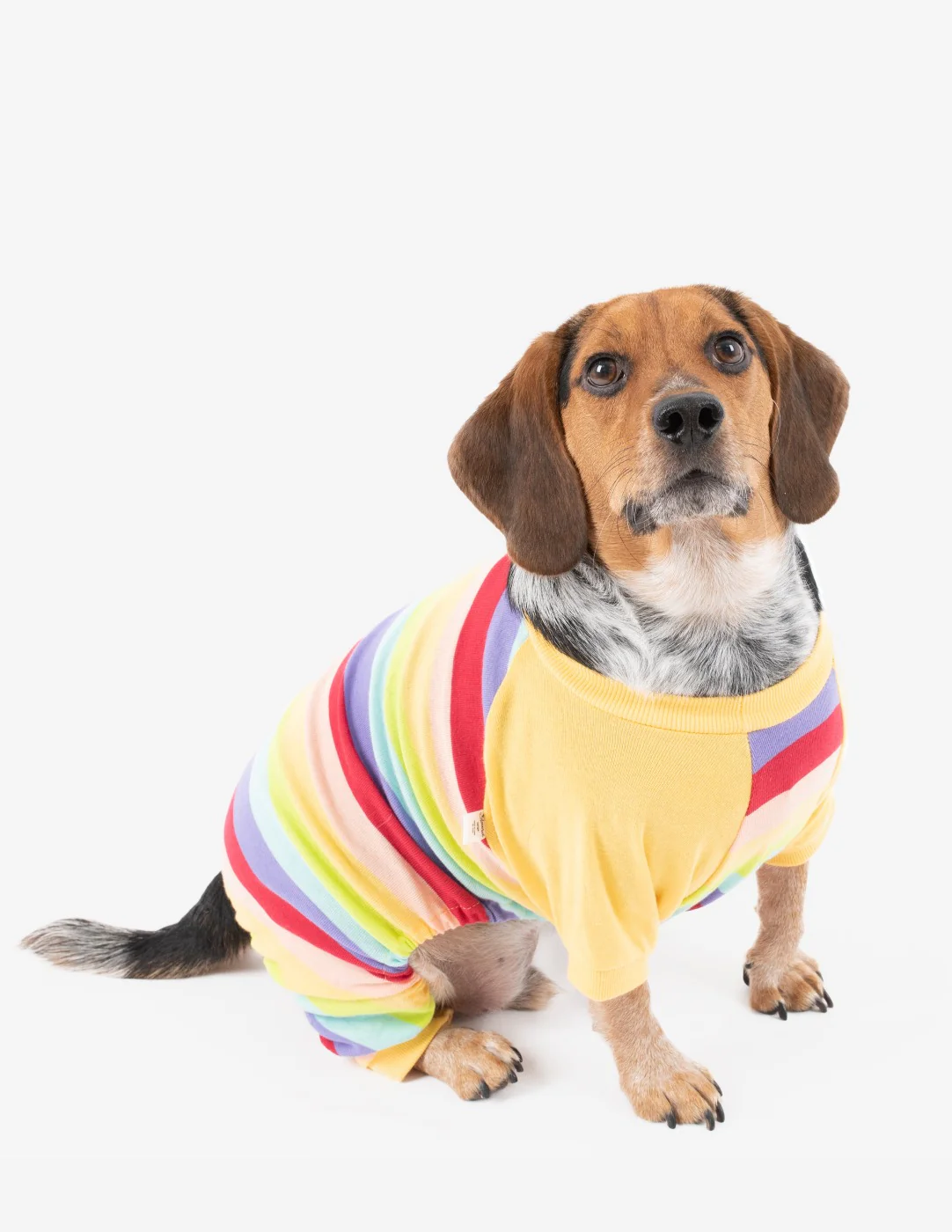 Dog Stripes Pajamas - Image 18