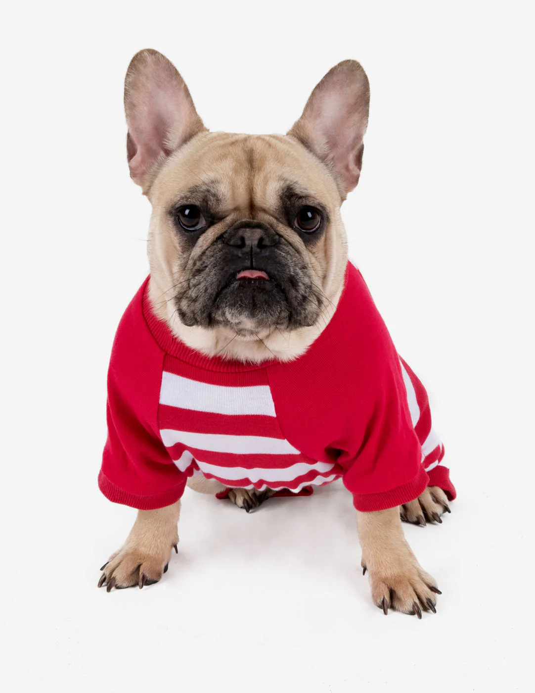 Dog Stripes Pajamas - Image 3
