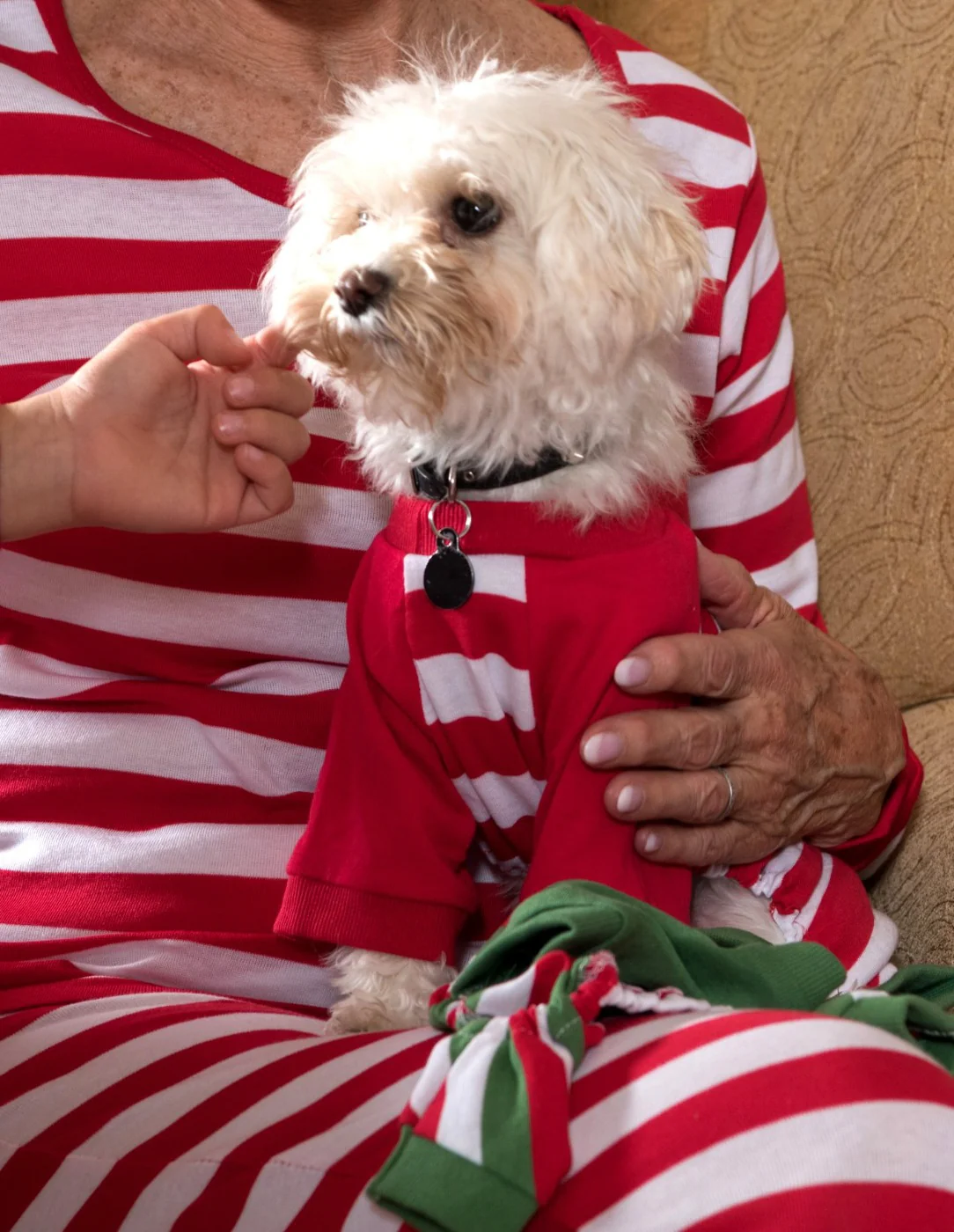 Dog Stripes Pajamas - Image 5
