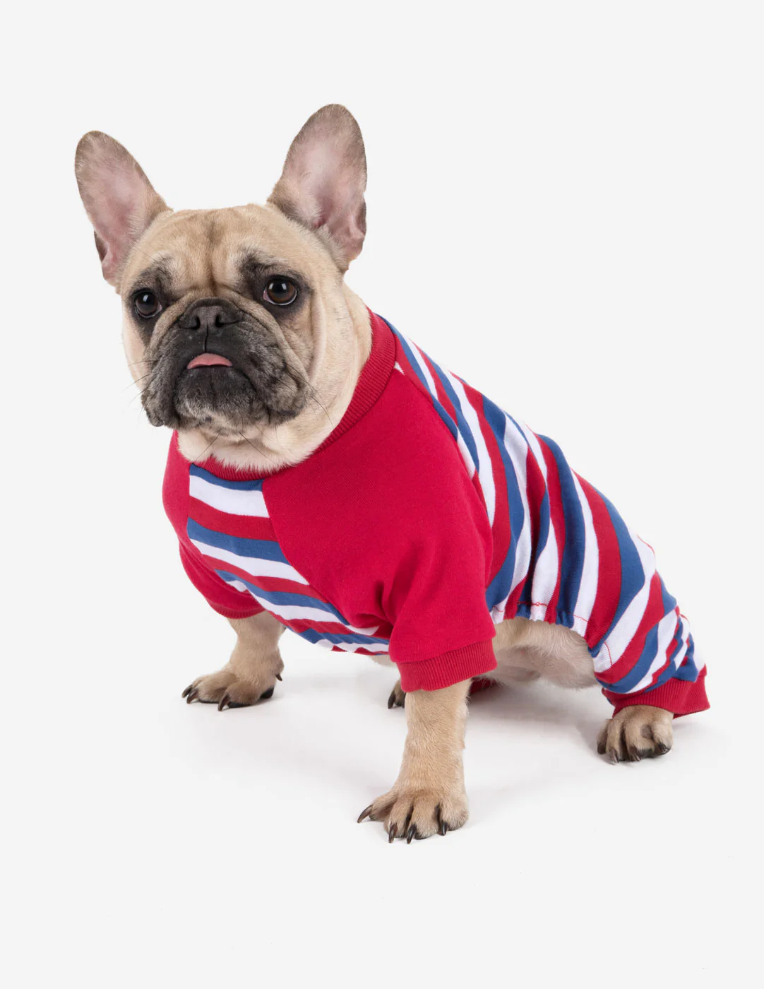 Dog Stripes Pajamas - Image 6