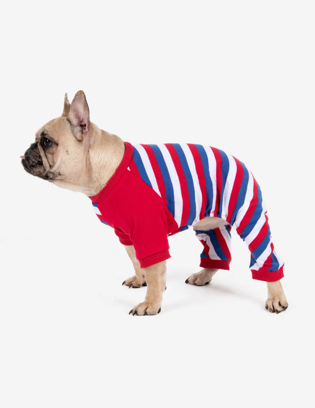 Dog Stripes Pajamas - Image 7