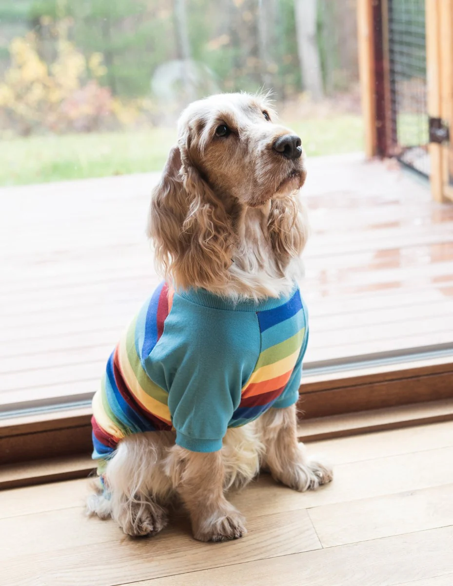 Dog Stripes Pajamas - Image 8