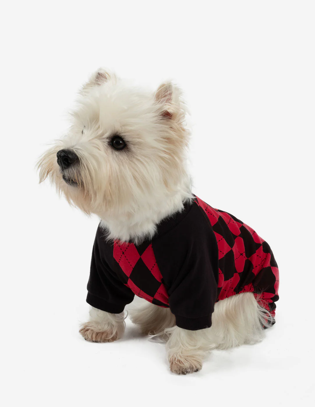 Dog's Argyle Print Pajamas - Image 3