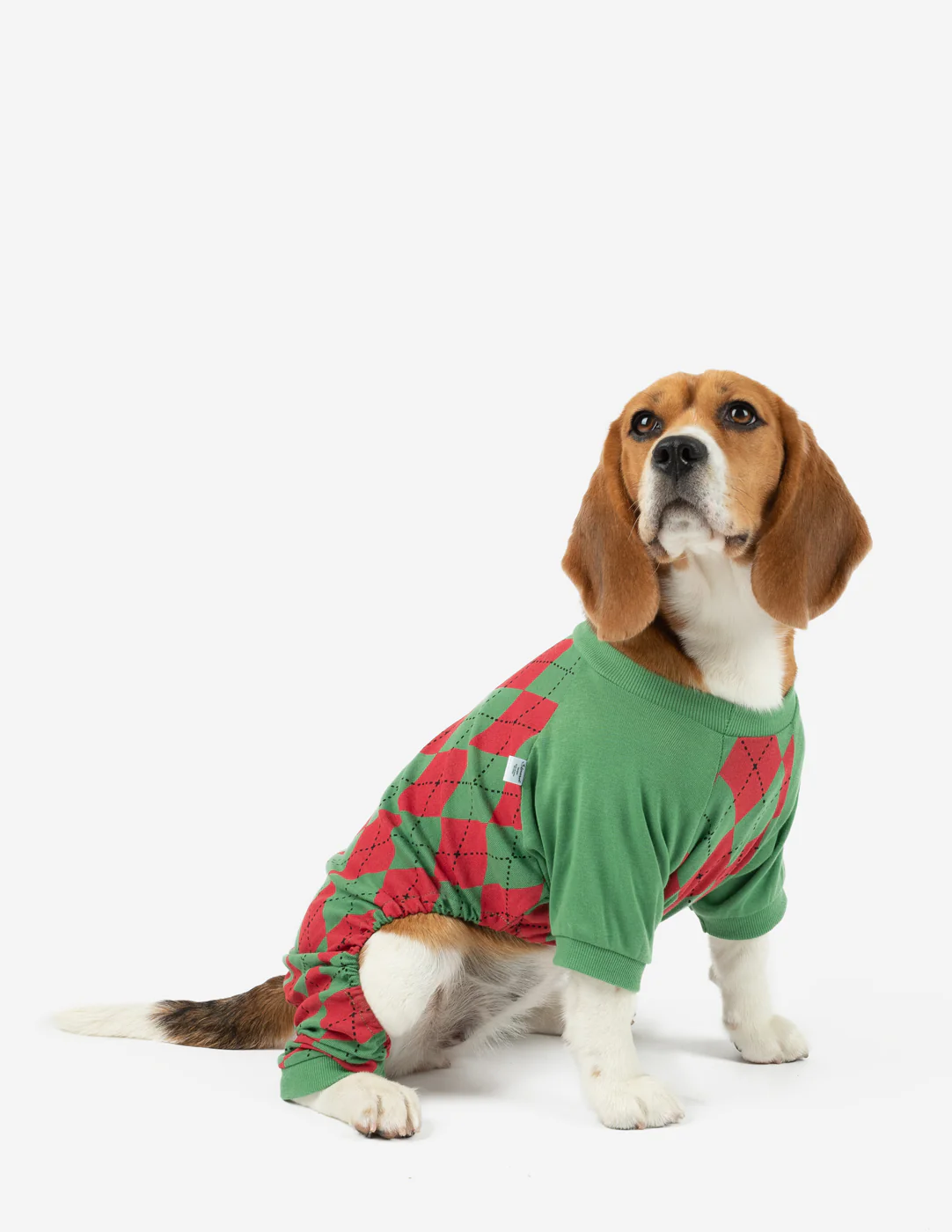 Dog's Argyle Print Pajamas - Image 5