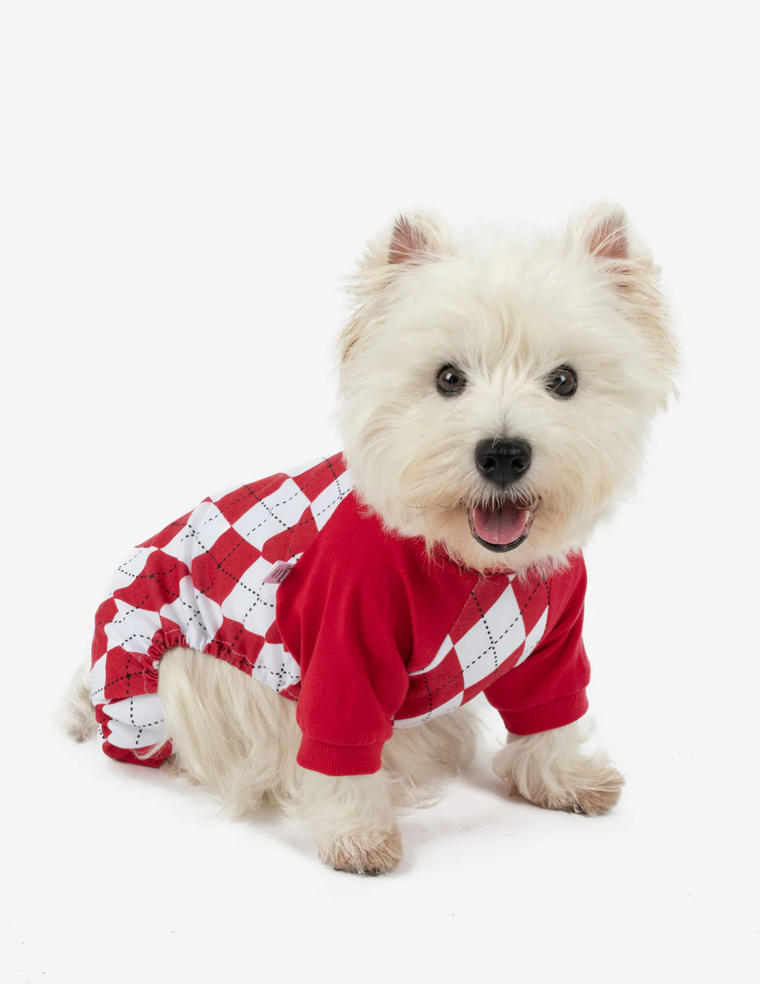 Dog's Argyle Print Pajamas - Image 7