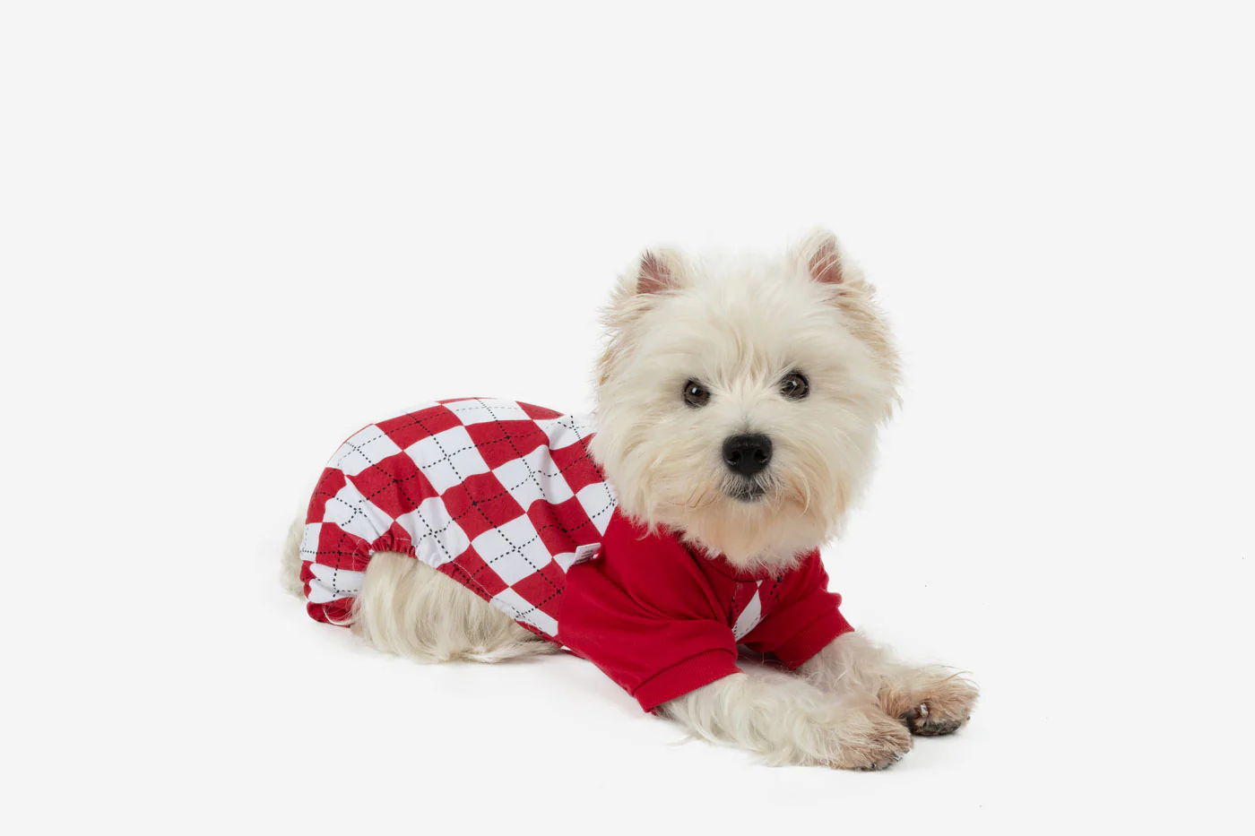 Dog's Argyle Print Pajamas - Image 9
