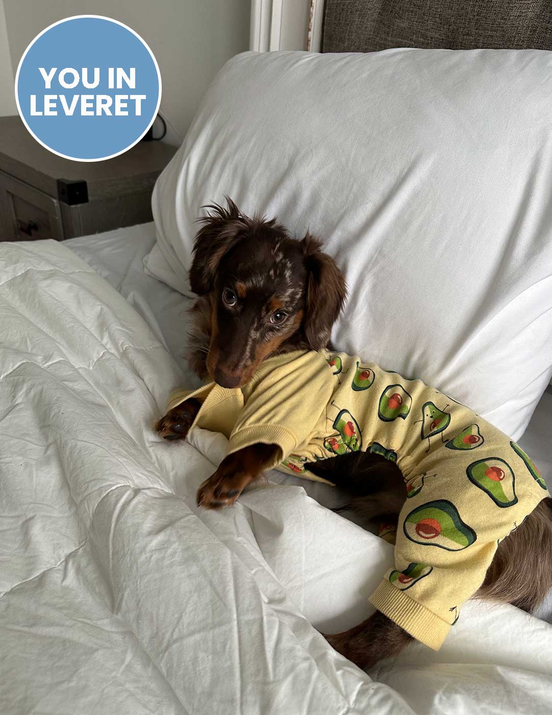 Dog's Avocado Pajamas - Image 3