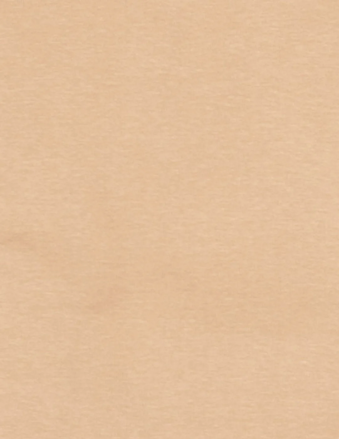 Cotton Neutral Shorts - Image 2