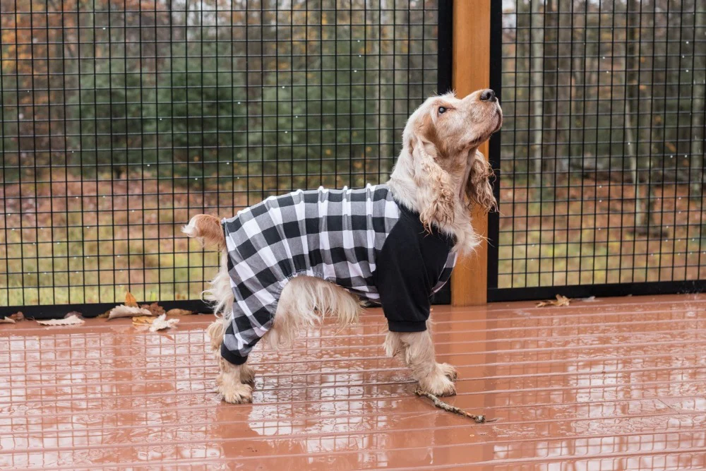 Dog Plaid Pajamas - Image 10