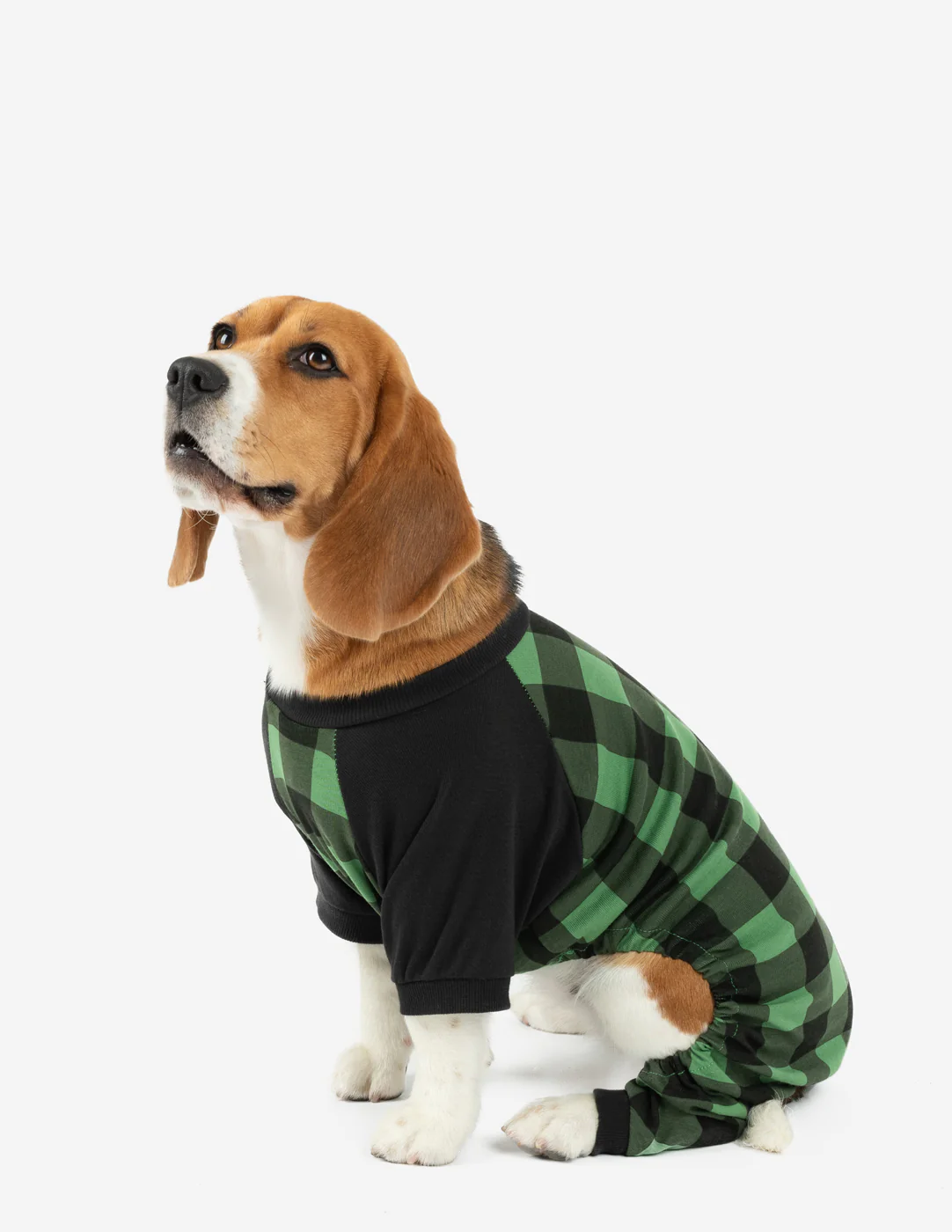 Dog Plaid Pajamas - Image 4