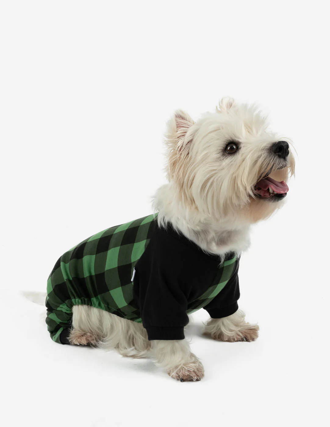 Dog Plaid Pajamas - Image 7