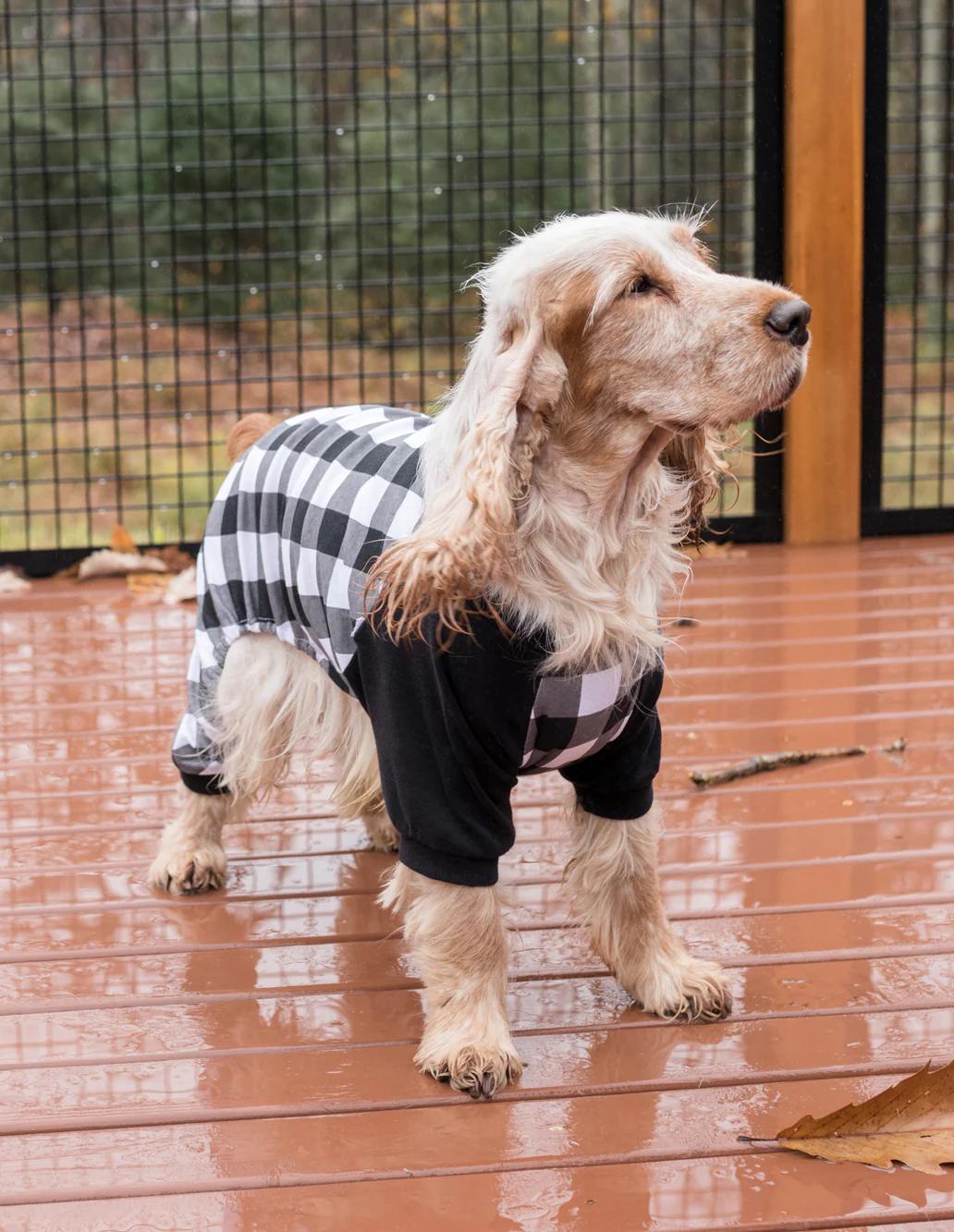 Dog Plaid Pajamas - Image 8