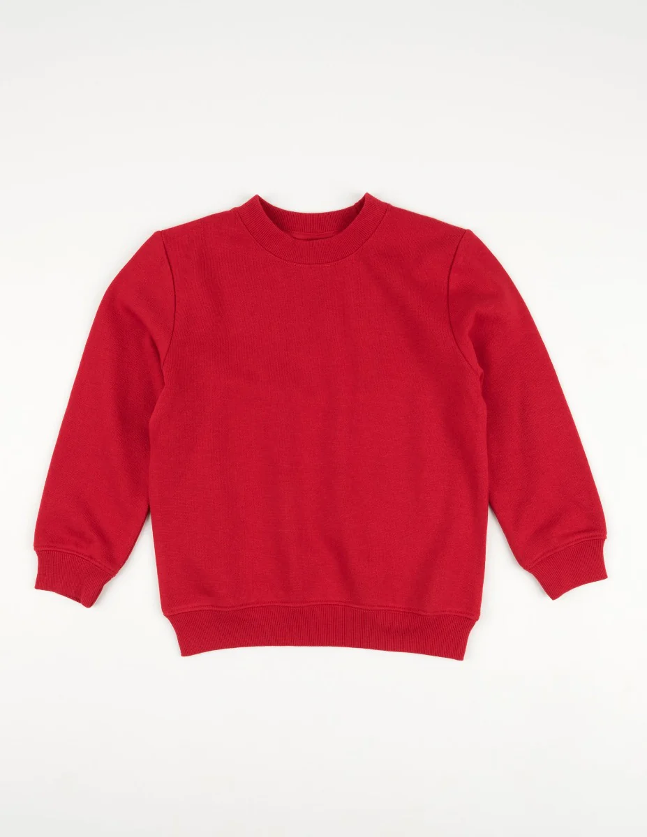 Classic Solid Color Pullover Sweatshirt - Image 9